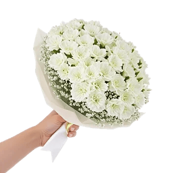 Delicate Petal Cascade