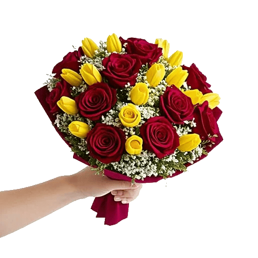 Crimson Rose Elegance
