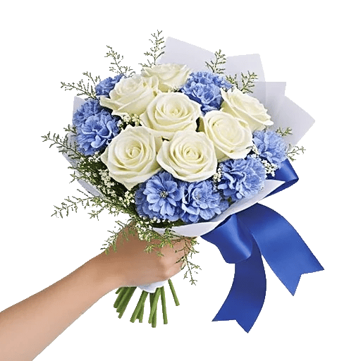 Serene Petal Harmony