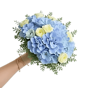 Serene Petal Harmony