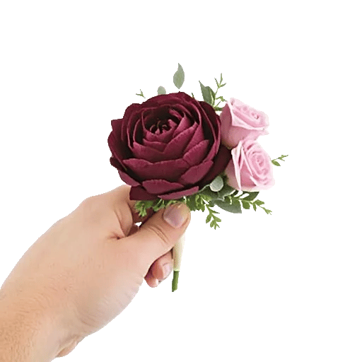 Plum Blossom Radiance