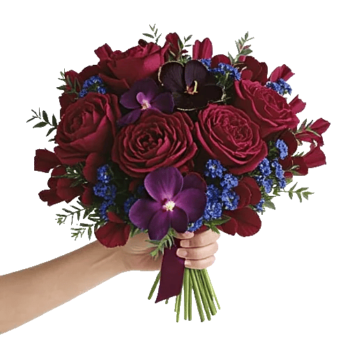 Peony Petal Harmony