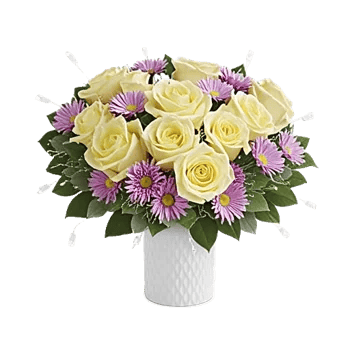 Ivory Blossom Radiance