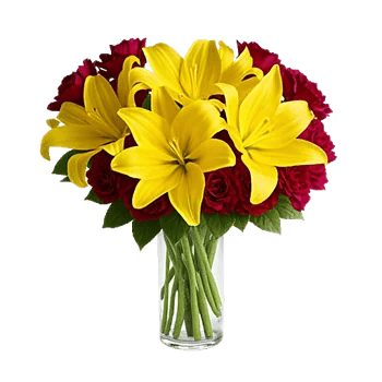 Graceful Lily Display