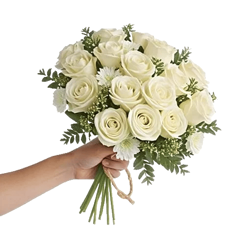 Ivory Garden Grace