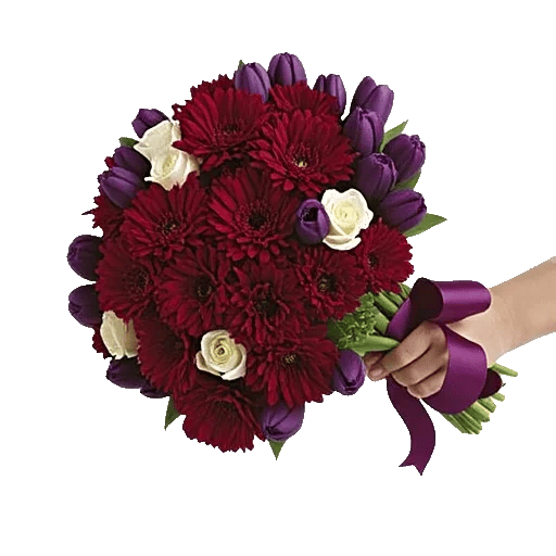 Crimson Rose Elegance