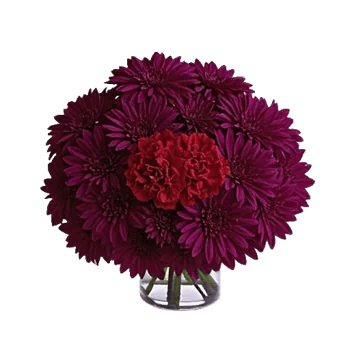 Crimson Blossom Harmony