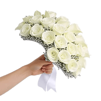 Elegant Calla Lilies