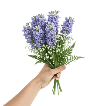 Pastel Blossom Grace