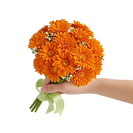 Vibrant Orange Delight
