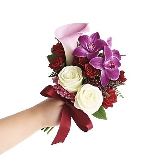 Elegant Calla Lilies