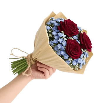 Crimson Rose Elegance