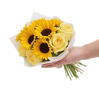 Twinkling Sunflower Dance