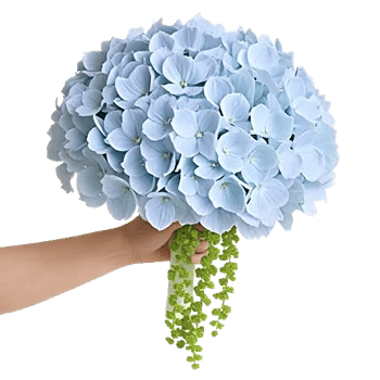 Delicate Petal Cascade