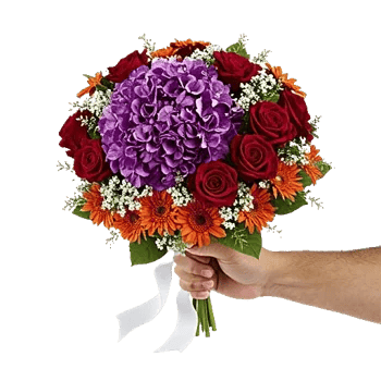 Petal Harmony Bliss
