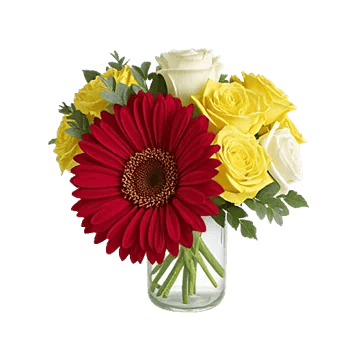 Petal Radiance Bliss