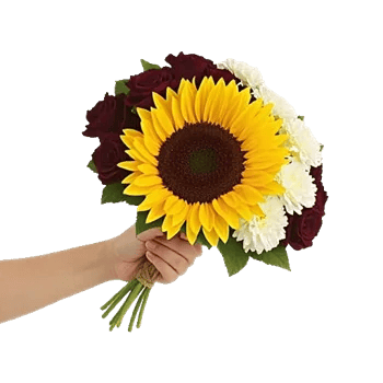 Twinkling Sunflower Dance