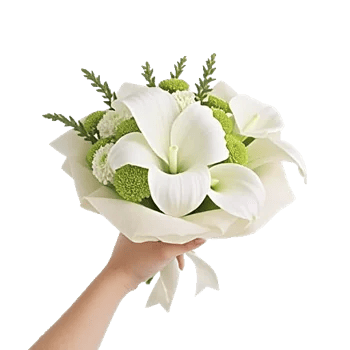 Ivory Garden Grace
