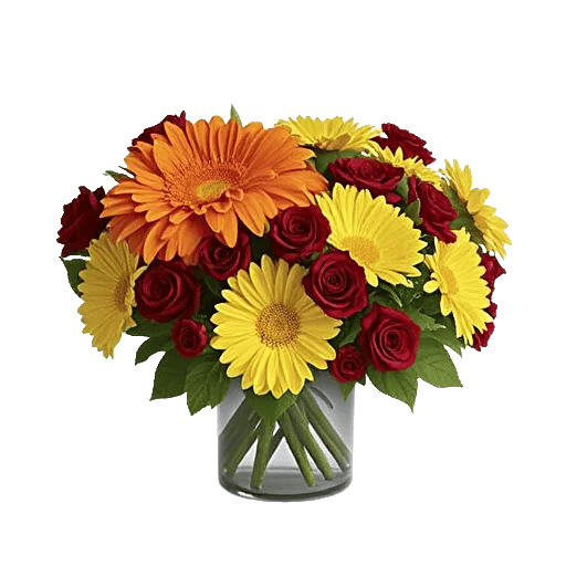 Petal Radiance Bliss