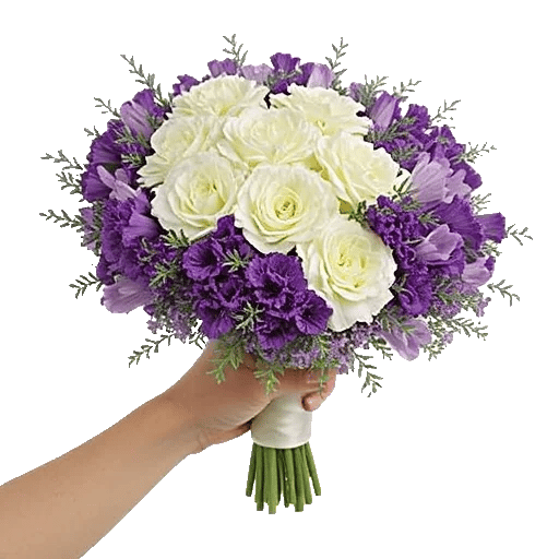 Pastel Pink Roses
