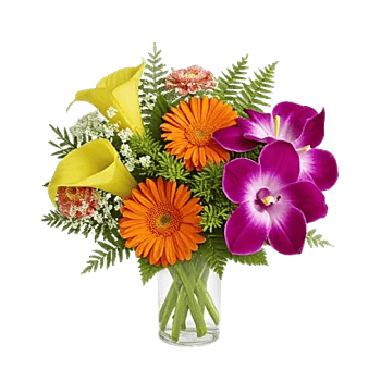 Orchid Bloom Cascade