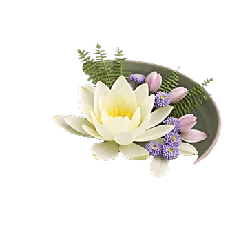 Serenity Orchid Bloom