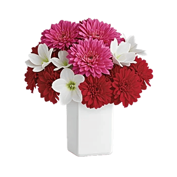 Petal Radiance Bliss