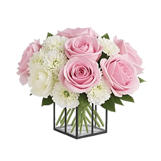 Petal Radiance Bliss