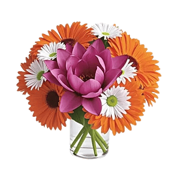 Petal Radiance Bliss