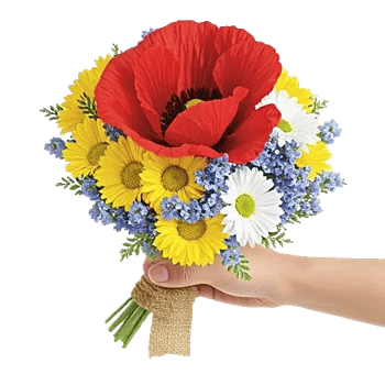 Petal Harmony Bliss