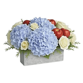 Serene Petal Harmony