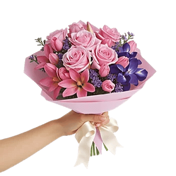 Blushing Rose Symphony