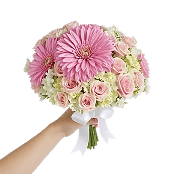 Blushing Rose Symphony