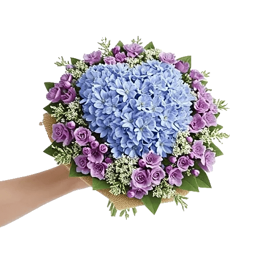 Serenity Blossom Grace