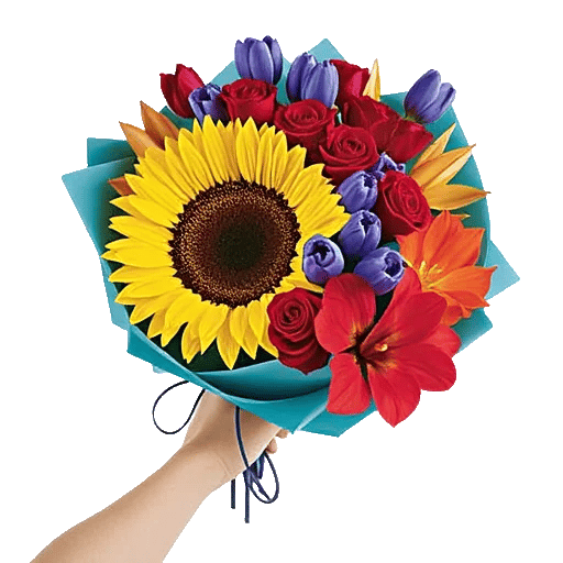 Tropical Sunflower Burst