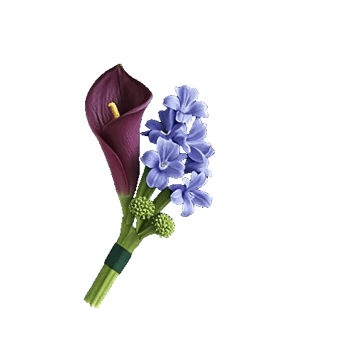 Elegant Calla Lilies