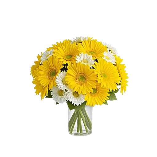 Blossom Harmony Display