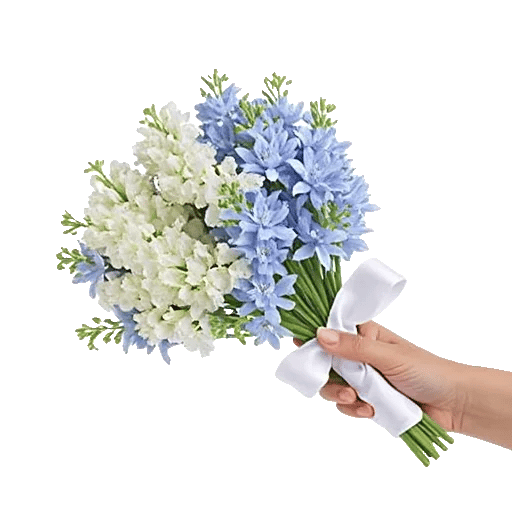 Blossom Petal Serenity