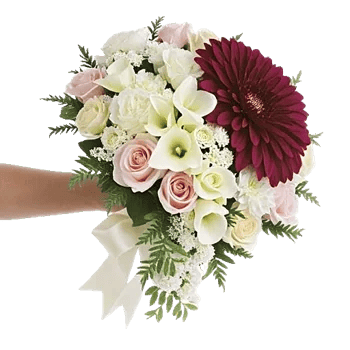 Delicate Petal Cascade