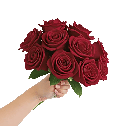 Crimson Rose Elegance