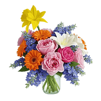 Petal Radiance Bliss