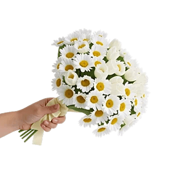 Blossom Harmony Display