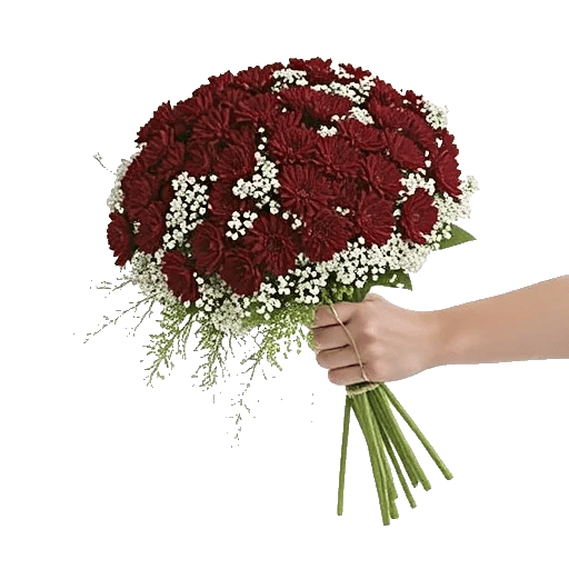 Delicate Petal Cascade