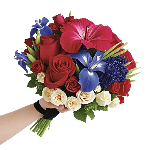 Plum Blossom Radiance