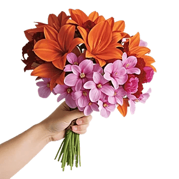 Blossom Glow Symphony