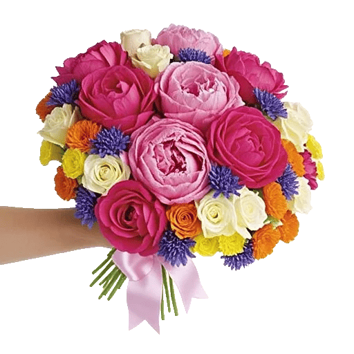 Peony Petal Harmony