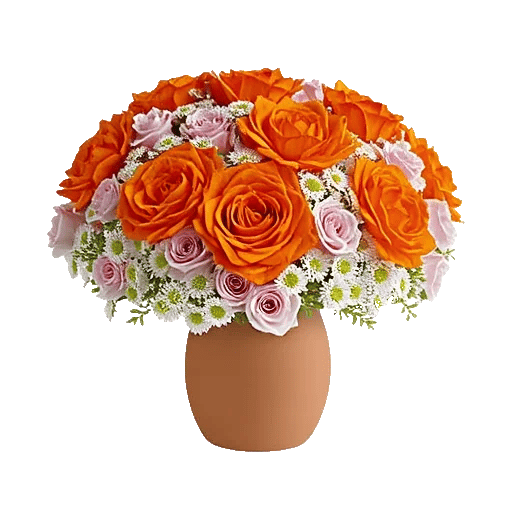 Petal Radiance Bliss