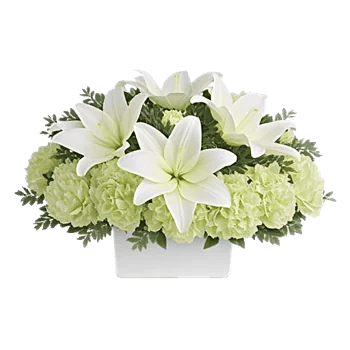 Graceful Lily Display