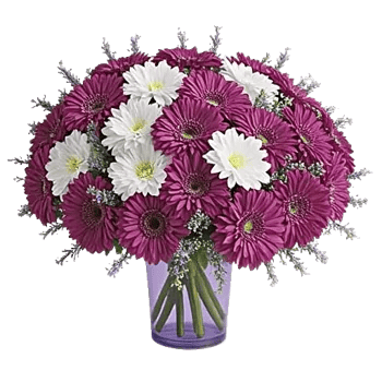 Delicate Petal Cascade