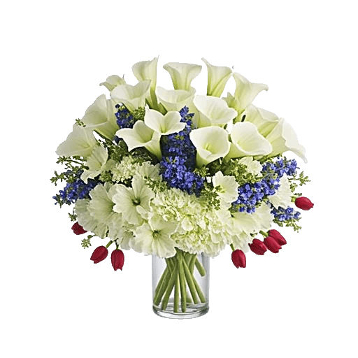 Elegant Calla Lilies